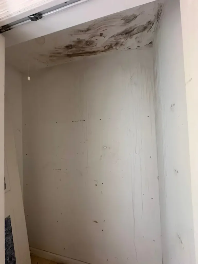 Early mold growth caused by water intrusion on ceiling and wall in Philadelphia, PA