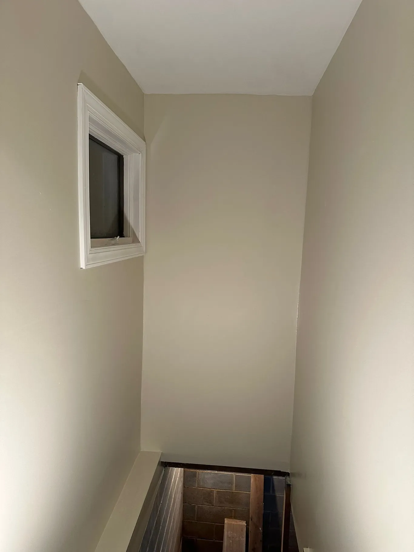 black mold remediation after home in philly