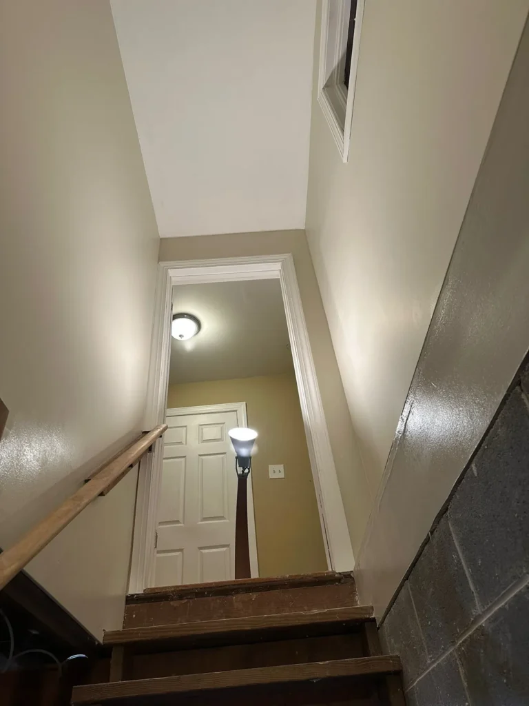 mold remediation east falls after
