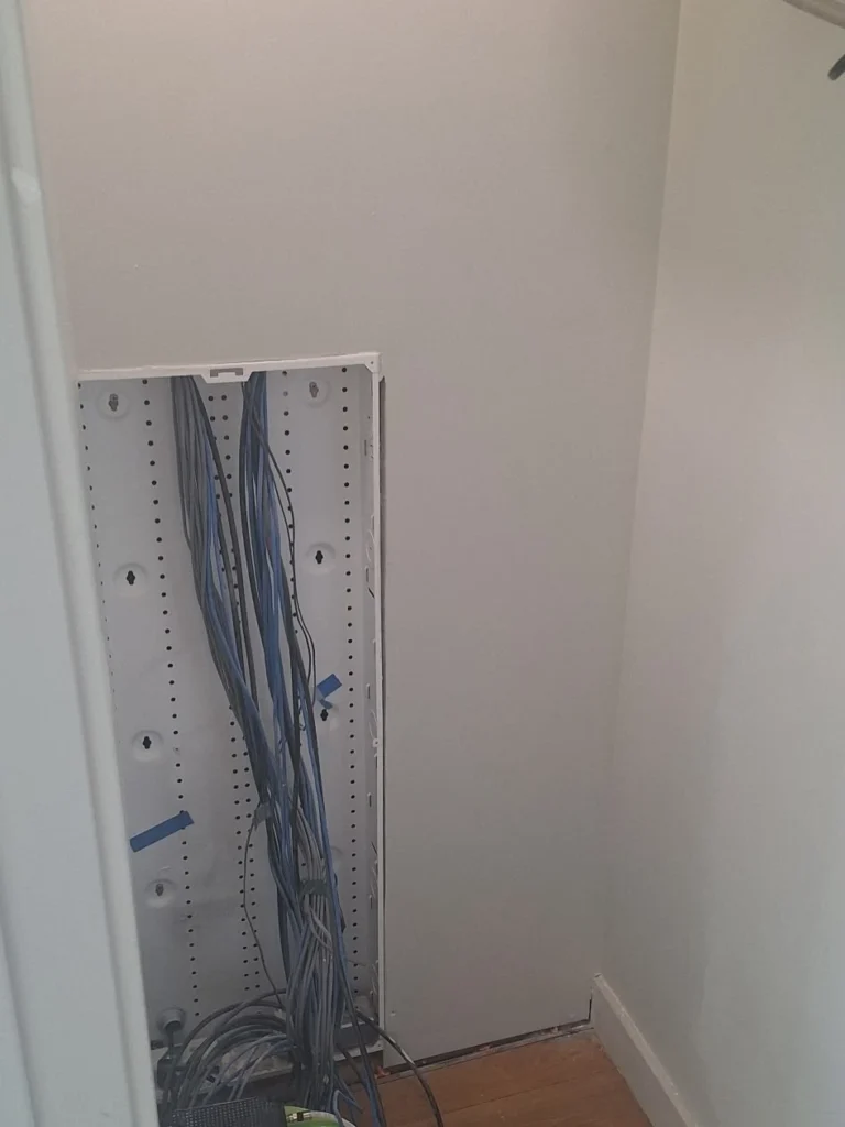 mold remediation fishtown after