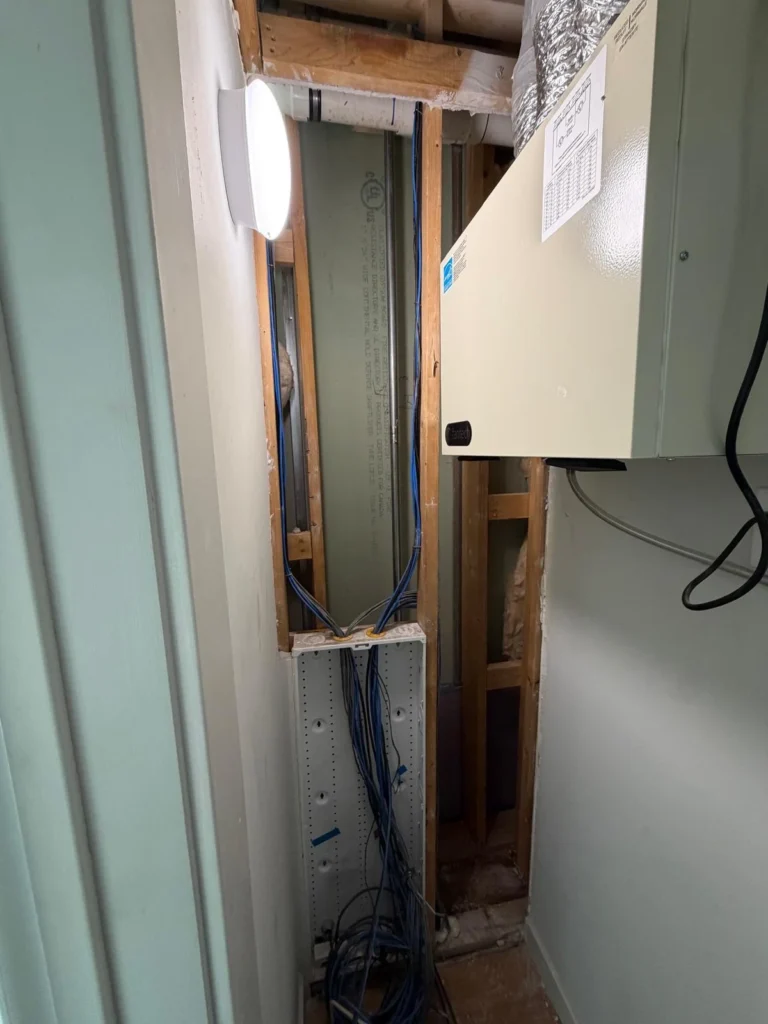 mold remediation fishtown before