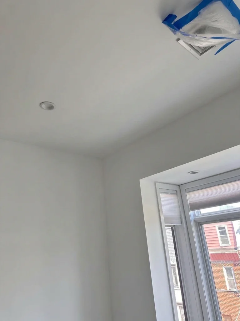 mold remediation port richmond after