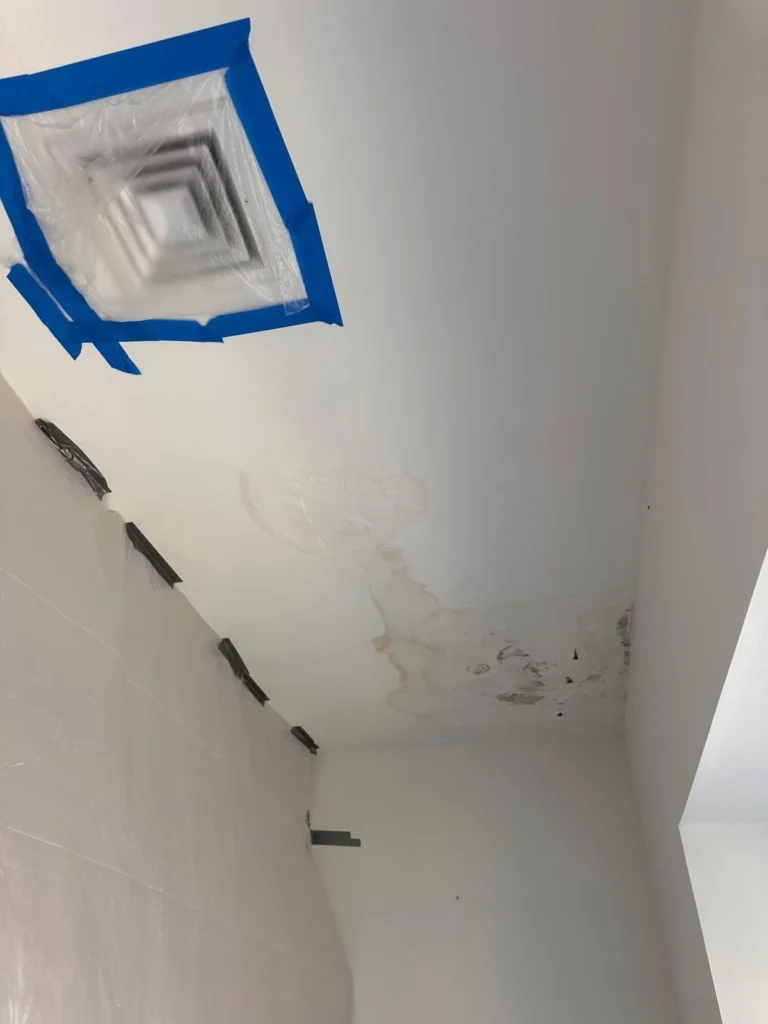 mold remediation port richmond before