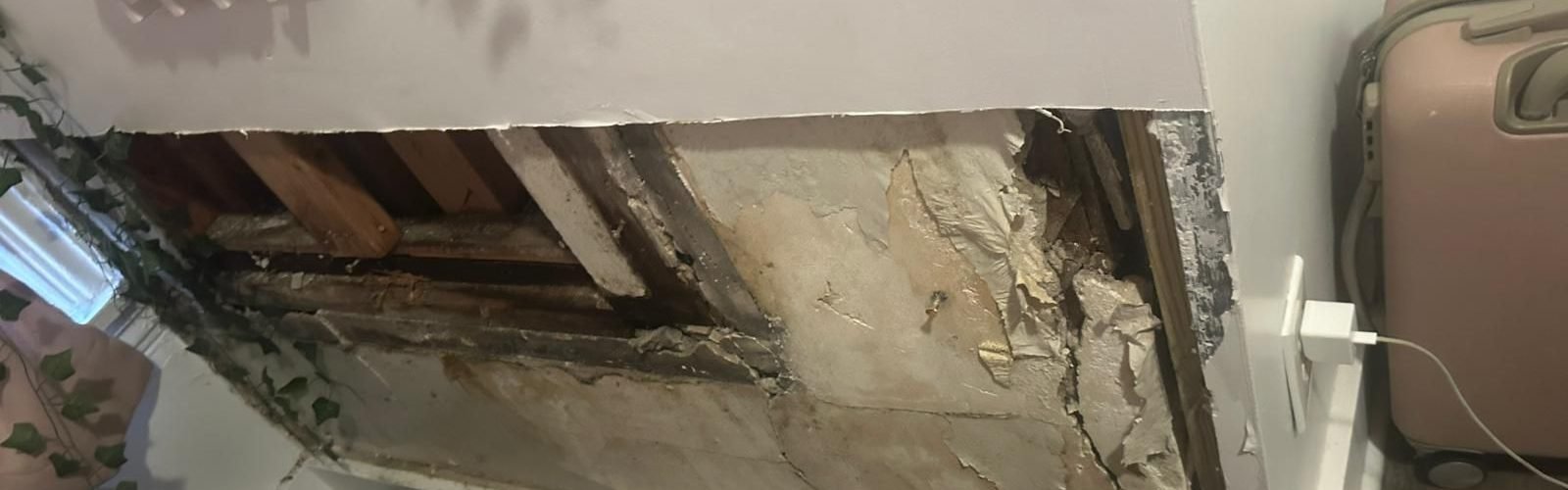 WhatsApp Image 2025-10-12 at 09.56.13