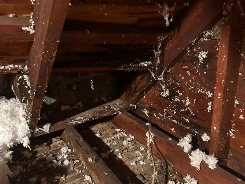 WhatsApp Image 2025-10-12 at 09.56.14 (1)