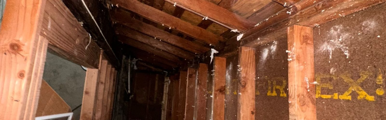 WhatsApp Image 2025-10-12 at 09.56.15 (2)