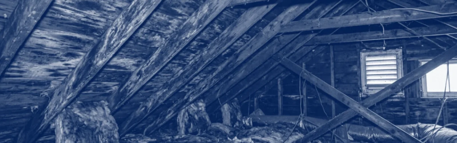 attic mold remediation service