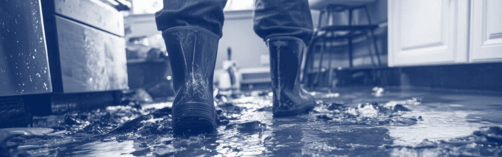 sewage cleanup service restoration philadelphia